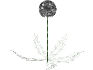 Dandelion 3D Model preview