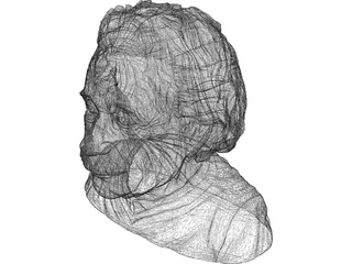 Albert Einstein 3D Model preview