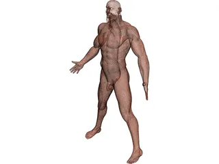 Man 3D Model preview