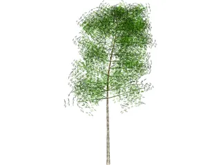 Tree 3D Model preview