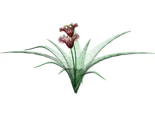 Flowers 3D Model preview