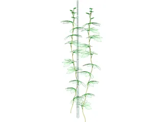 Plant 3D Model preview