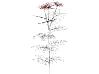 Roses Red 3D Model preview