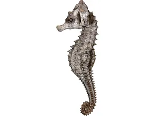 Seahorse 3D Model preview