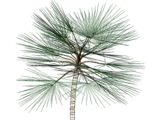 Palm 3D Model preview