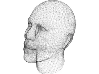 Head Mike Tyson 3D Model preview