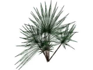 Palmetto Plant 3D Model preview