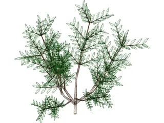 Azalea Bush 3D Model preview