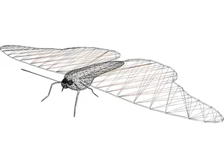 Butterfly 3D Model preview