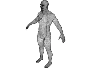 Male 3D Model preview