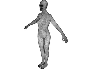 Female 3D Model preview