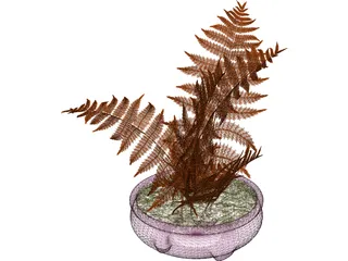 House Plant 3D Model preview