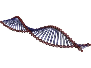 DNA Double Helix 3D Model preview