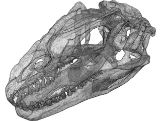 Allosaurus Fragilis Skull 3D Model preview