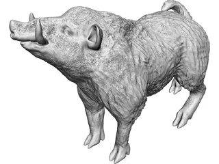 Wild Boar 3D Model preview