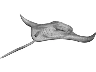 Manta Ray 3D Model preview
