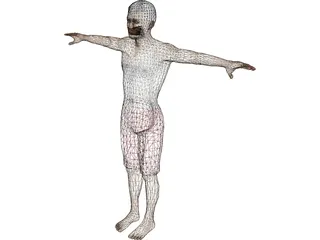 Ewan 3D Model preview