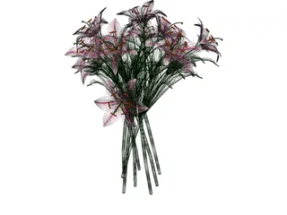 Lily Pink 3D Model preview