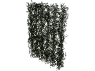 Plant Ivy 3D Model preview