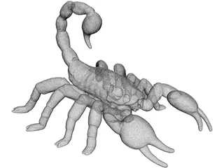 Scorpion 3D Model preview
