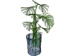 Monstera Deliciosa 3D Model preview