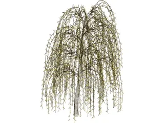 Tree 3D Model preview