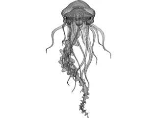 Jelly Fish 3D Model preview