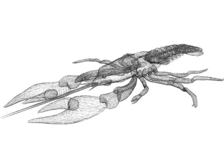 Lobster 3D Model preview