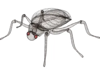 Bug 3D Model preview