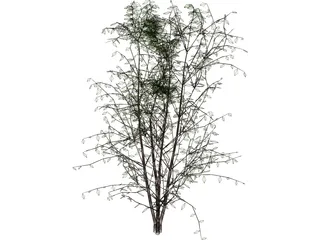 Tree 3D Model preview