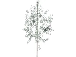Tree 3D Model preview