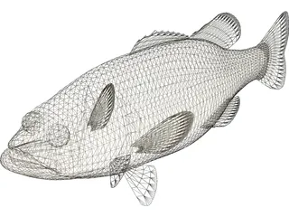 Florida Largemouth Bass 3D Model preview
