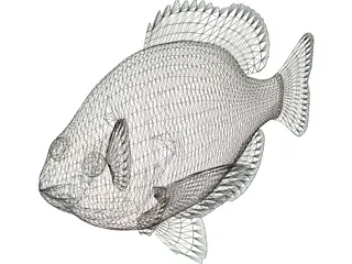 Bluegill 3D Model preview