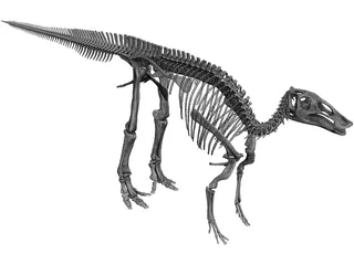 Edmontosaurus Skeleton 3D Model preview