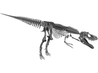 Gorgosaurus Skeleton 3D Model preview