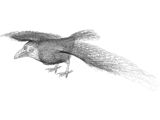 Raven 3D Model preview