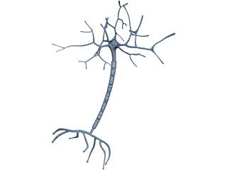 Neuron 3D Model preview