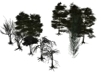 Tree Collection 3D Model preview