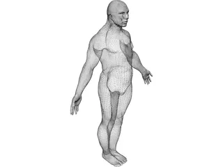 Male Human Figure 3D Model preview