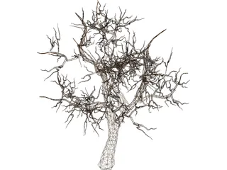 Tree 3D Model preview