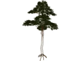 Pine 3D Model preview