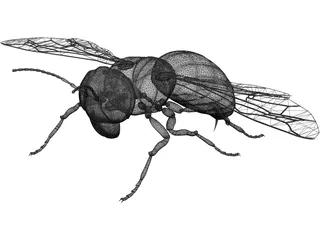 Hornet 3D Model preview