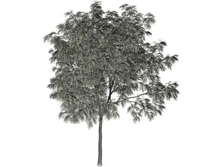 Arbol Tree 3D Model preview