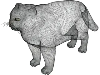 Pallas Cat 3D Model preview