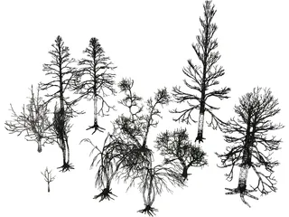 Dead Trees 3D Model preview