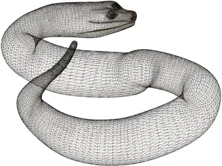 Rattlesnake 3D Model preview