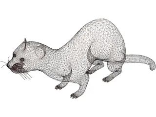 Ferret 3D Model preview