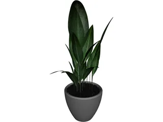Ficus 3D Model preview