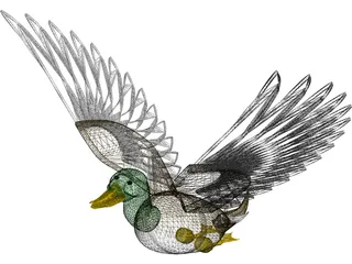 Duck Flying 3D Model preview