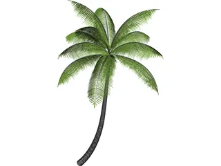 Palm 3D Model preview